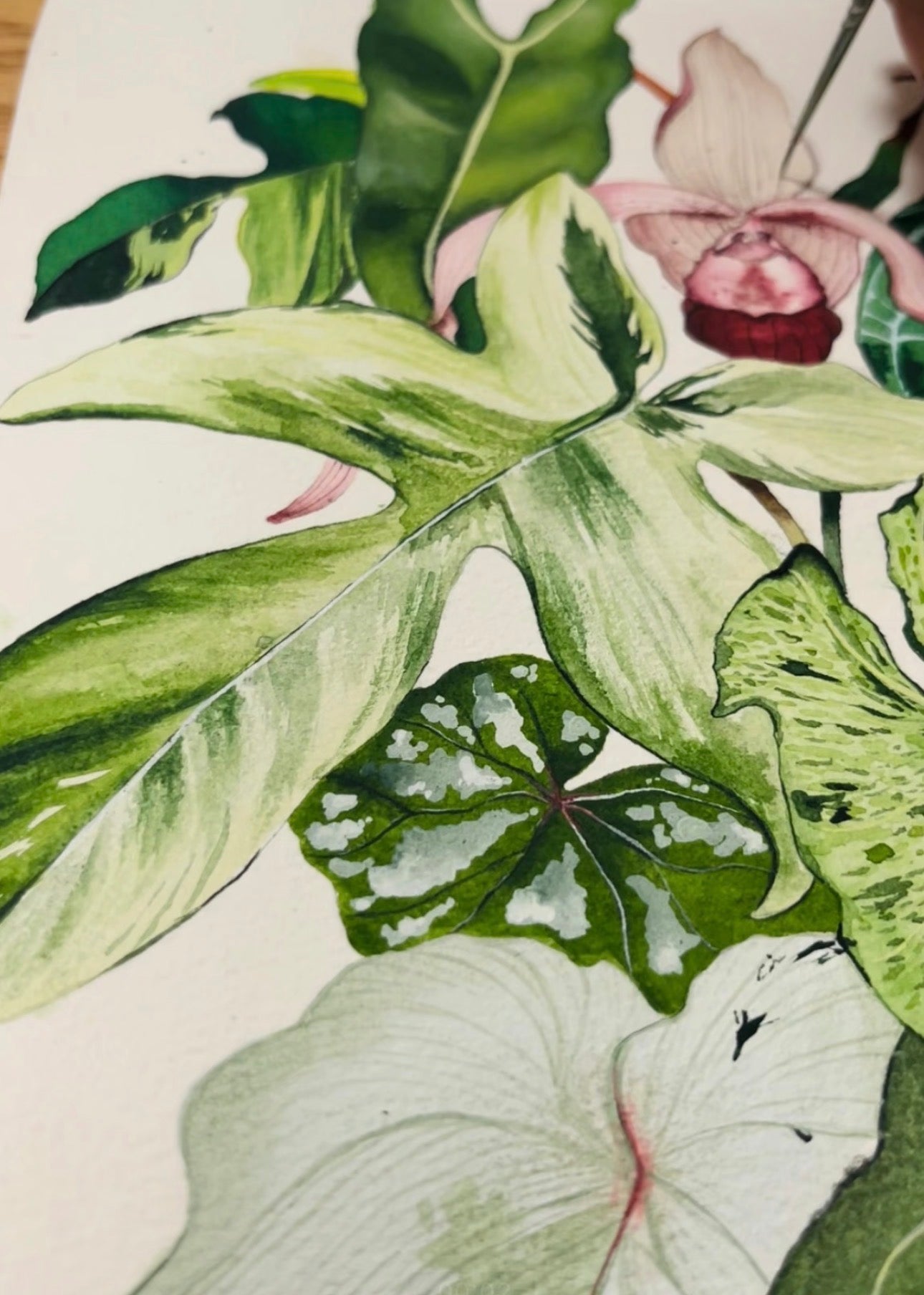 Watercolour Painting of Flowers