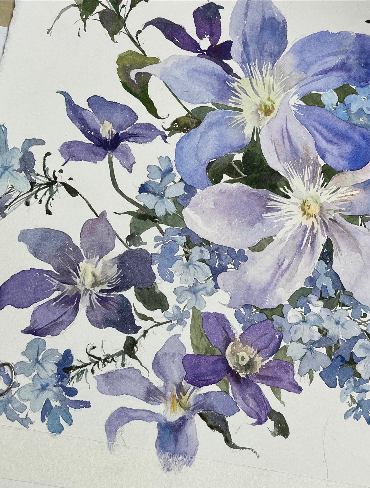 Watercolour Painting of Flowers