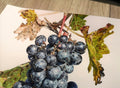 Realistic Watercolour Painting of Grapes – A3