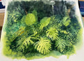 Watercolour painting